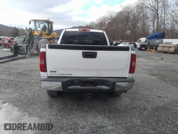 2010 Chevrolet Silverado 1500 with VIN 1GCSKPE31AZ229573, listed as a IAAI auction lot 41203758 with 128,175 mi miles and . Bid and sale history available at DreamBid. Image 17.