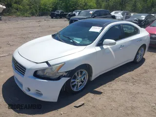 2010 Nissan Maxima SV with VIN 1N4AA5APXAC846488, listed as a IAAI auction lot 42036731 with 205,854 mi miles and . Bid and sale history available at DreamBid. Image 2.
