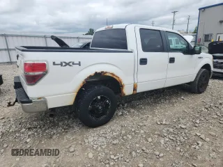 2010 Ford F-150 XL with VIN 1FTEW1E80AFA10938, listed as a Copart auction lot 62770355 with 243,947 mi miles and Clean title. Bid and sale history available at DreamBid. Image 3.