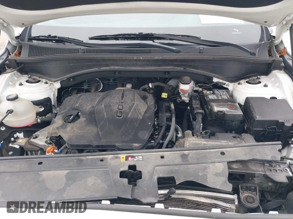 2023 Hyundai Santa Fe SEL with VIN 5NMS34AJ9PH527799, listed as a IAAI auction lot 42171380 with 53,707 mi miles and . Bid and sale history available at DreamBid. Image 10.