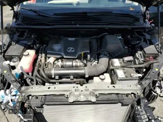 2020 Lexus NX 300 with VIN JTJGARDZ0L5004482, listed as a Copart auction lot 64553215 with 38,436 mi miles and Salvage title. Bid and sale history available at DreamBid. Image 12.