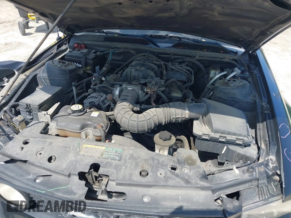 2009 Ford Mustang with VIN 1ZVHT80NX95137108, listed as a IAAI auction lot 42530615 with 134,881 mi miles and . Bid and sale history available at DreamBid. Image 10.