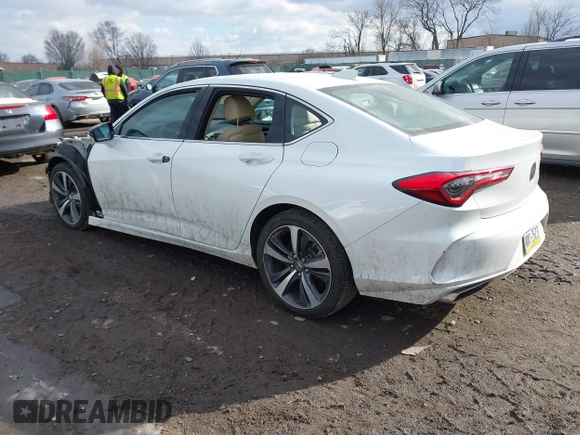 2024 Acura TLX Technology with VIN 19UUB5F45RA000376, listed as a IAAI auction lot 41322212 with Not Provided miles and . Bid and sale history available at DreamBid. Image 3.