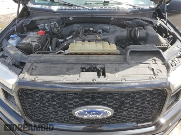 2019 Ford F-150 XL with VIN 1FTEW1EP2KFC68628, listed as a Copart auction lot 51612745 with 110,807 mi miles and Salvage Title. Bid and sale history available at carsss.com. Image 12.