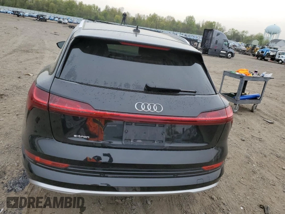 2019 Audi e-tron Premium Plus with VIN WA1LAAGE5KB009439, listed as a Copart auction lot 50514093 with 32,382 mi miles. Bid and sale history available at carsss.com. Image 6.