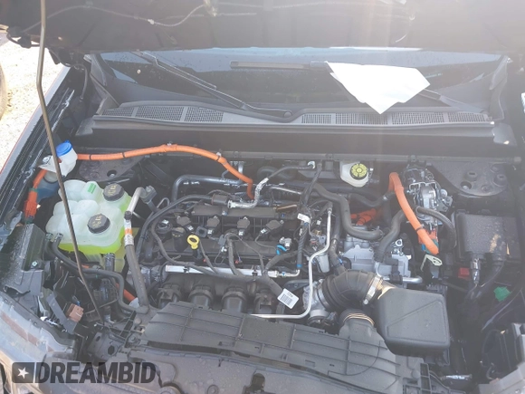 2025 Ford Maverick XLT with VIN 3FTTW8H34SRA29612, listed as a IAAI auction lot 41940598 with 868 mi miles and . Bid and sale history available at DreamBid. Image 10.