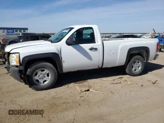 2009 Chevrolet Silverado 1500 Work Truck with VIN 1GCEK14C19Z202087, listed as a Copart auction lot 73921834 with 0 mi miles and Clean Title. Bid and sale history available at carsss.com. Image 1.