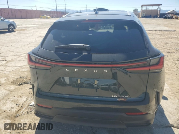 2024 Lexus NX with VIN JTJGKCEZXR2019879, listed as a Copart auction lot 46855145 with 16,950 mi miles and Salvage Title. Bid and sale history available at carsss.com. Image 6.