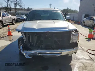 2010 GMC Sierra 1500 with VIN 1GTSCWE04AZ221013, listed as a Copart auction lot 46502985 with 232,338 mi miles and Salvage Title. Bid and sale history available at DreamBid. Image 5.