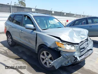 2007 Hyundai Santa Fe SE with VIN 5NMSH13E27H030383, listed as a IAAI auction lot 42360068 with 135,202 mi miles and . Bid and sale history available at DreamBid. Image 1.