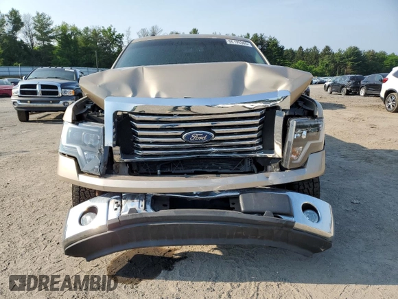 2011 Ford F-150 XL with VIN 1FTFW1CF0BKD10820, listed as a Copart auction lot 60195365 with 192,218 mi miles and Salvage title. Bid and sale history available at DreamBid. Image 5.