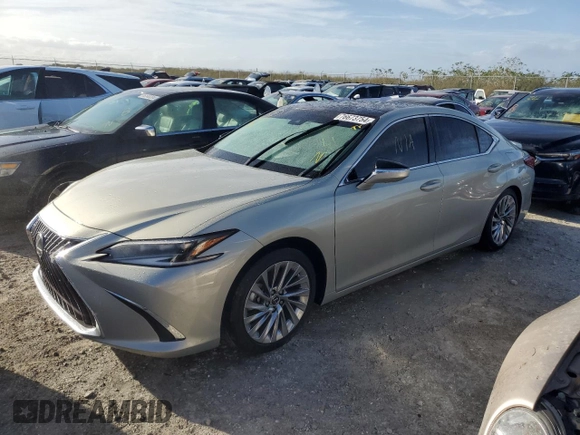 2022 Lexus ES with VIN 58AFZ1B19NU139270, listed as a Copart auction lot 76673754 with 0 mi miles and Non Repairable. Bid and sale history available at carsss.com. Image 1.