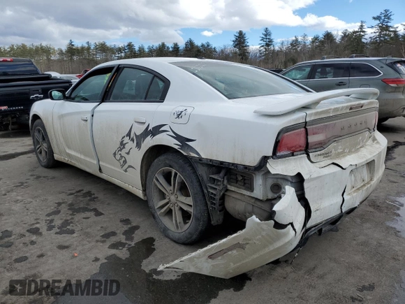 2014 Dodge Charger SXT Plus with VIN 2C3CDXJG0EH296411, listed as a Copart auction lot 46529755 with 136,078 mi miles and Salvage Title. Bid and sale history available at carsss.com. Image 2.