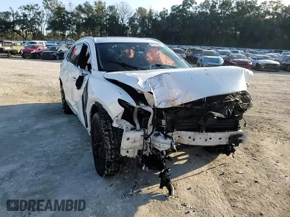 2016 Mazda CX-9 Grand Touring with VIN JM3TCADY3G0122945, listed as a Copart auction lot 87018034 with Not Provided miles and Salvage Title. Bid and sale history available at DreamBid. Image 14.
