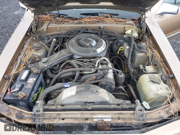 1985 Ford Thunderbird with VIN 1FABP46F2FH175017, listed as a IAAI auction lot 42222867 with 77,911 mi miles and . Bid and sale history available at DreamBid. Image 10.