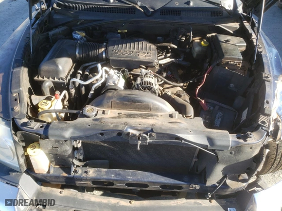 2005 Dodge Dakota SLT with VIN 1D7HW48N55S133654, listed as a Copart auction lot 46416175 with 258871 miles and Salvage Title. Bid and sale history available at carsss.com. Image 11.