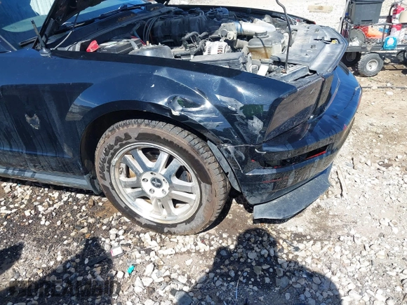 2007 Ford Mustang Deluxe with VIN 1ZVFT80N075253857, listed as a IAAI auction lot 41809040 with Not Provided miles. Bid and sale history available at carsss.com. Image 6.