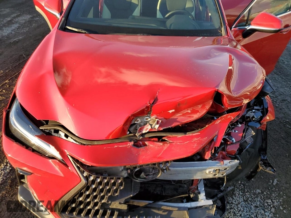 2024 Lexus NX 250 с VIN 2T2ADCAZ3RC006672, выставлен на аукционе Copart как лот 42750065 с пробегом 31 202 миль миль и Списание • Salvage title. История ставок и продаж доступна на DreamBid. Изображение 12.