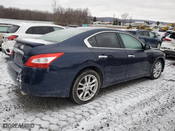 2014 Nissan Maxima 3.5 S with VIN 1N4AA5AP7EC449908, listed as a Copart auction lot 43561755 with 145,904 mi miles and Salvage Title. Bid and sale history available at carsss.com. Image 3.