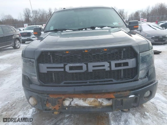 2010 Ford F-150 XL with VIN 1FTFW1EV9AFB66096, listed as a IAAI auction lot 41520470 with 155,513 mi miles. Bid and sale history available at carsss.com. Image 6.