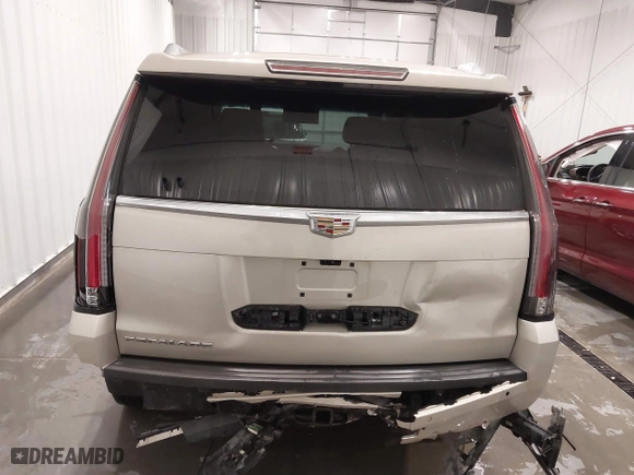 2017 Cadillac Escalade Luxury with VIN 1GYS4BKJ5HR254402, listed as a IAAI auction lot 41492160 with 76,419 mi miles. Bid and sale history available at carsss.com. Image 16.