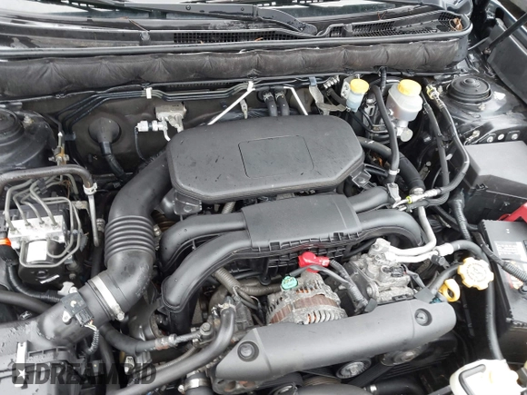 2010 Subaru Legacy Premium All-Weather Anniversary with VIN 4S3BMAC69A1236483, listed as a IAAI auction lot 41572476 with 177,315 mi miles and . Bid and sale history available at DreamBid. Image 10.