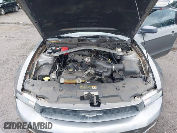 2011 Ford Mustang V6 with VIN 1ZVBP8EM2B5142545, listed as a IAAI auction lot 42667556 with 138,177 mi miles and . Bid and sale history available at DreamBid. Image 10.