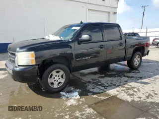 2009 Chevrolet Silverado 1500 LS with VIN 3GCEC13C29G250213, listed as a Copart auction lot 46454145 with 165,385 mi miles and Salvage Title. Bid and sale history available at DreamBid. Image 1.
