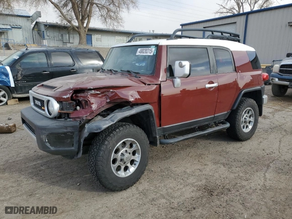 2011 Toyota FJ Cruiser with VIN JTEBU4BF1BK112606, listed as a Copart auction lot 48828315 with 98,719 mi miles and Salvage Title. Bid and sale history available at carsss.com. Image 1.