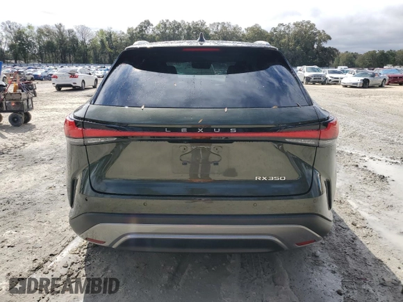 2023 Lexus RX with VIN 2T2BAMBA7PC009681, listed as a Copart auction lot 46780065 with 33,088 mi miles and Salvage Title. Bid and sale history available at carsss.com. Image 6.