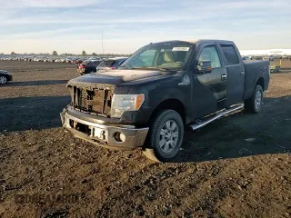 2010 Ford F-150 XL with VIN 1FTFW1EV9AFD21293, listed as a Copart auction lot 77943404 with 123,165 mi miles and Salvage title. Bid and sale history available at DreamBid. Image 11.