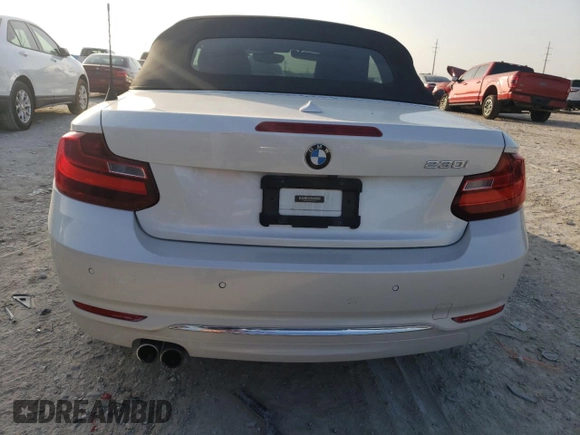 2017 BMW 2 Series 230i with VIN WBA2K9C31HV950554, listed as a Copart auction lot 44006705 with Not provided miles and Salvage title. Bid and sale history available at DreamBid. Image 6.