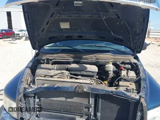 2002 Dodge 1500 with VIN 1D7HA18N02J254476, listed as a IAAI auction lot 42046623 with 122,847 mi miles and . Bid and sale history available at DreamBid. Image 10.