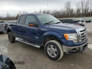 2011 Ford F-150 XL with VIN 1FTFX1ET8BFC87344, listed as a Copart auction lot 46576495 with 126,027 mi miles and Salvage Title. Bid and sale history available at carsss.com. Image 4.
