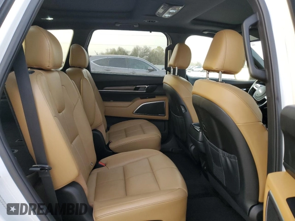 2020 Kia Telluride SX with VIN 5XYP54HC3LG040433, listed as a Copart auction lot 48994765 with 81,303 mi miles and Clean title. Bid and sale history available at DreamBid. Image 11.