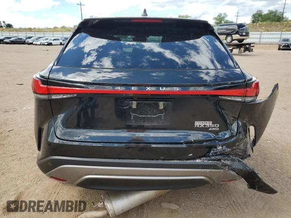2023 Lexus RX with VIN 2T2BAMCA4PC003366, listed as a Copart auction lot 61029624 with 25,053 mi miles and Salvage Title. Bid and sale history available at carsss.com. Image 6.
