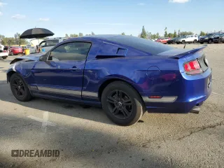 2013 Ford Mustang V6 with VIN 1ZVBP8AM1D5220242, listed as a Copart auction lot 82259684 with 178,607 mi miles and Salvage title. Bid and sale history available at DreamBid. Image 2.