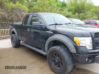 2010 Ford F-150 XL with VIN 1FTEX1EW1AFB90443, listed as a IAAI auction lot 41955720 with 184,104 mi miles. Bid and sale history available at carsss.com. Image 13.