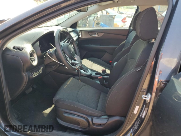 2019 Kia Forte LXS с VIN 3KPF24AD9KE059751, выставлен на аукционе Copart как лот 61624175 с пробегом 129 441 миль миль и Списание • Salvage title. История ставок и продаж доступна на DreamBid. Изображение 7.