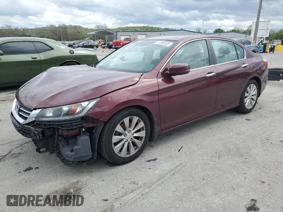 2013 Honda Accord Sdn EX-L with VIN 1HGCR2F82DA241300, listed as a Copart auction lot 51380305 with 239,284 mi miles and Salvage Title. Bid and sale history available at carsss.com. Image 1.