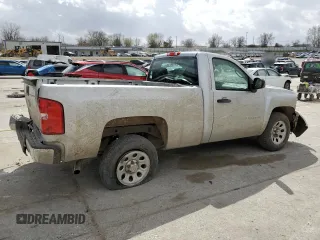 2010 Chevrolet Silverado 1500 Work Truck with VIN 1GCPCPEX8AZ263693, listed as a Copart auction lot 49038045 with 132,268 mi miles and Salvage Title. Bid and sale history available at DreamBid. Image 3.