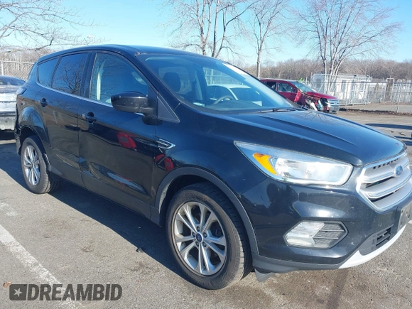 2017 Ford Escape SE with VIN 1FMCU0GD8HUE44687, listed as a IAAI auction lot 41693772 with 132,701 mi miles. Bid and sale history available at carsss.com. Image 6.