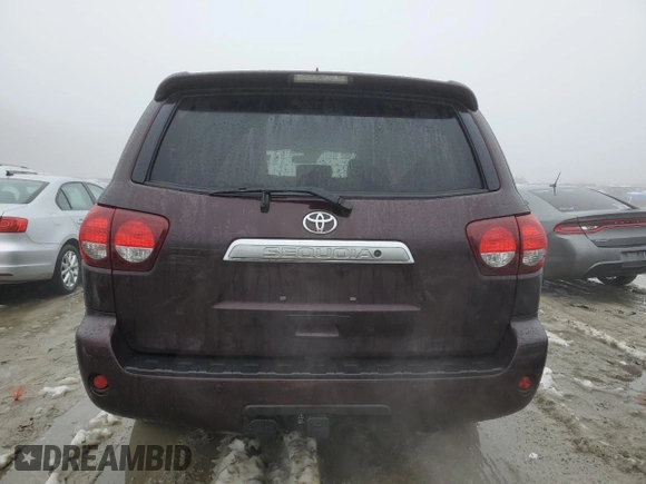 2019 Toyota Sequoia Platinum with VIN 5TDDY5G15KS167508, listed as a Copart auction lot 45140485 with 117,197 mi miles and Salvage Title. Bid and sale history available at carsss.com. Image 6.