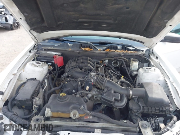 2014 Ford Mustang V6 with VIN 1ZVBP8AM1E5231243, listed as a IAAI auction lot 41730357 with 211,508 mi miles. Bid and sale history available at carsss.com. Image 10.