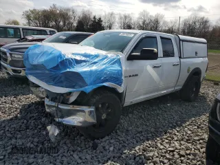 2010 Dodge 1500 SLT z VIN 1D7RV1GP1AS124985, wystawiony jako Copart lot #49976695 z przebiegiem 251 891 mil mil oraz Szkoda całkowita • Salvage title. Historia ofert i sprzedaży dostępna na DreamBid. Obrazek 1.