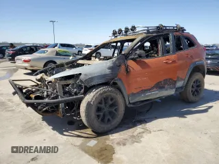 2016 Jeep Cherokee Trailhawk with VIN 1C4PJMBS3GW155070, listed as a Copart auction lot 47654975 with Not provided miles and Non repairable. Bid and sale history available at DreamBid. Image 1.