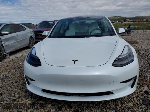 2023 Tesla Model 3 with VIN 5YJ3E1EA9PF569835, listed as a Copart auction lot 50876824 with 25,736 mi miles and Salvage Title. Bid and sale history available at DreamBid. Image 5.