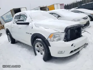2010 Dodge Ram 1500 Sport with VIN 1D7RV1CT9AS220236, listed as a Copart auction lot 87943885 with 193,575 mi miles and Salvage Title. Bid and sale history available at carsss.com. Image 4.
