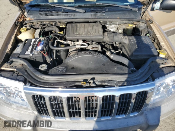 1999 Jeep Grand Cherokee Laredo z VIN 1J4GW58NXXC704719, wystawiony jako Copart lot #49546395 z przebiegiem 276 716 mil mil oraz Czysty tytuł • Clean title. Historia ofert i sprzedaży dostępna na DreamBid. Obrazek 12.