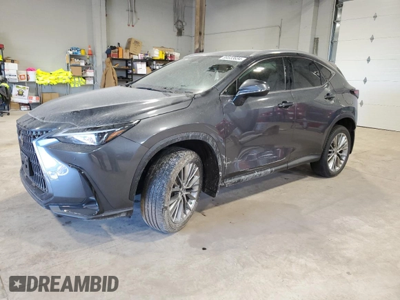 2022 Lexus NX with VIN 2T2GKCEZ7NC002239, listed as a Copart auction lot 69533634 with 59,574 mi miles and Salvage Title. Bid and sale history available at carsss.com. Image 1.